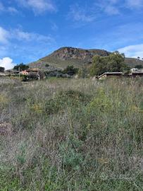 Terreno di 28000 m² a Montelepre