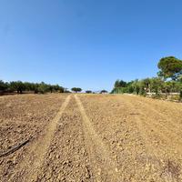 Terreno Agricolo - Partinico