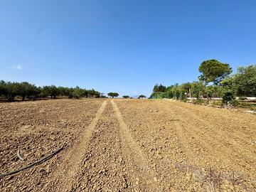 Terreno Agricolo - Partinico