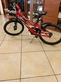 Bicicletta bambino misura 20 