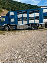 Trasporto Bestiame