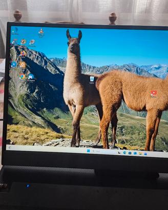 monitor slim portatile più modem 4g