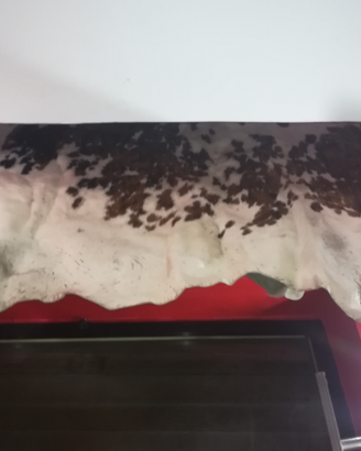Tappeto di mucca