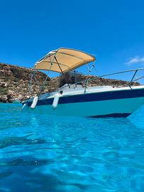 Barca open conero delfino faust