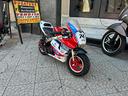 minimoto-gp-racing