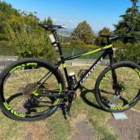 Cannondale FSI