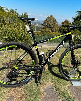 Cannondale FSI