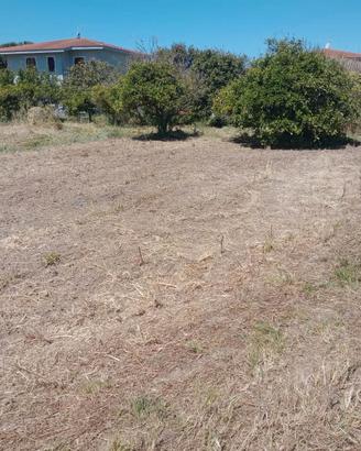 Terreno edificabile