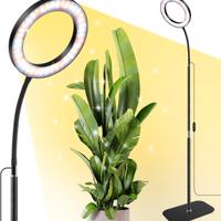 lampada Led