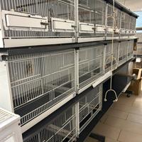 BATTERIA DA COVA CHILLON