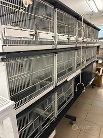 BATTERIA DA COVA CHILLON