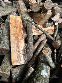 Legna macchia mediterranea