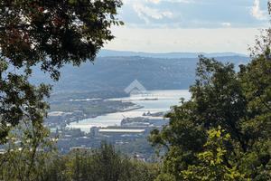 TER. AGRICOLO A TRIESTE