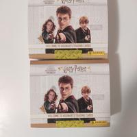 box figurine Harry Potter panini