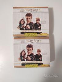 box figurine Harry Potter panini