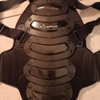 tartaruga equitazione 
