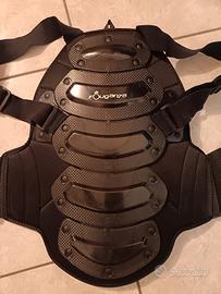 tartaruga equitazione 