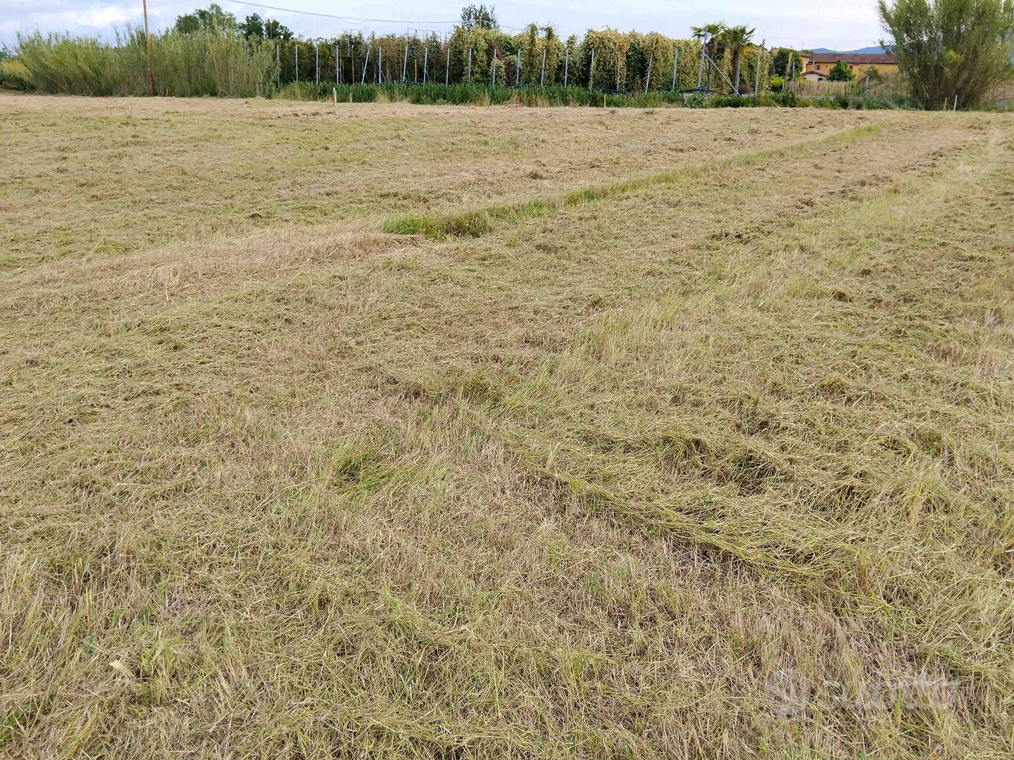 Terreno agricolo - Vista 3