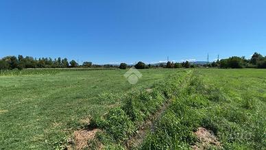 TER. AGRICOLO A REGGIO NELL'EMILIA