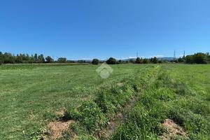 TER. AGRICOLO A REGGIO NELL'EMILIA