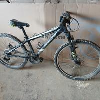 bicicletta ragazzo 