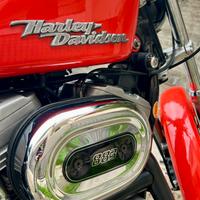 Harley Davidson Sportster 883