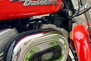 Harley Davidson Sportster 883