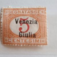 Venezia Giulia- 1918- segnatassa soprastampa 