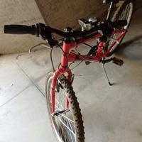 VENDUTO: bici rush junior mountain bike 24