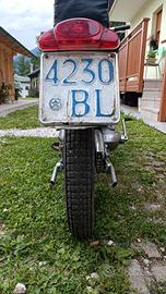 Aermacchi cigno - 1951