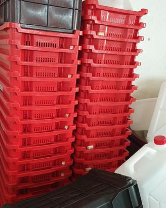 attrezzature per vendemmia