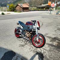 Buell Lightning XB12 25 anni Edition - 2009