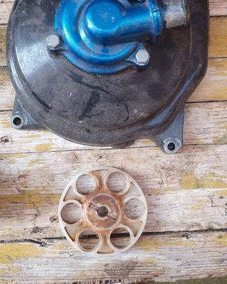 Pompa acqua minarelli orizzontale