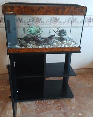 acquario 120 l