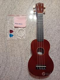 Ukulele, chitarra 