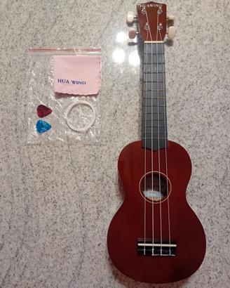 Ukulele, chitarra 