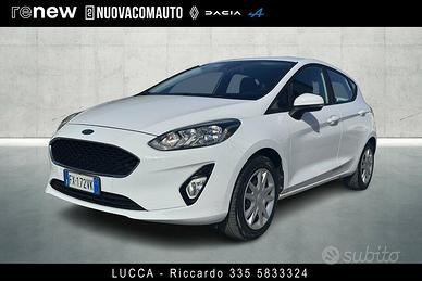 Ford Fiesta 5p 1.1 Plus Gpl 75cv