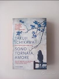 Takuji Ichikawa. Sono tornata, amore.