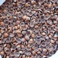 Gusci di nocciola per riscaldamento