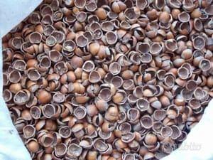 Gusci di nocciola per riscaldamento