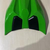 unghia monoposto kawasaki ninja