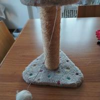 Piccolo tiragraffi per cuccioli di gatto