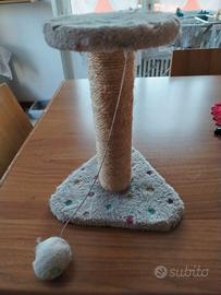 Piccolo tiragraffi per cuccioli di gatto