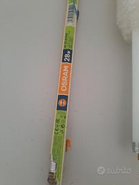lampadine cool white lumilux