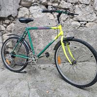 mtb ORION revisionata 