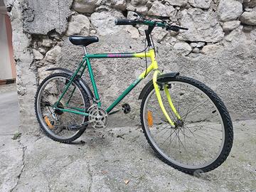 mtb ORION revisionata 