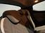 Immagine 10