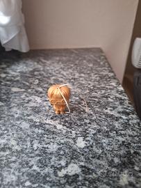 Harry potter oro limite edition