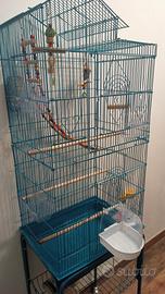 Voliera Gabbia Uccelli Pappagalli Canarini Calopsi