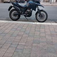 Derby terra125